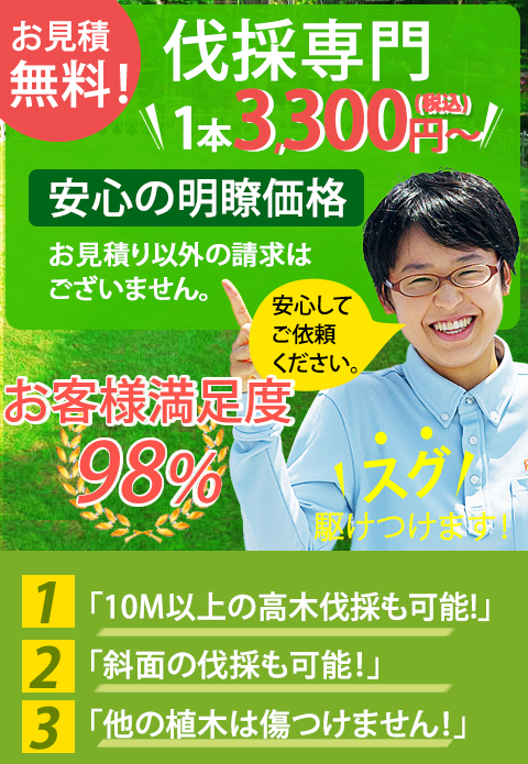 伐採専門の庭クイック、東京・神奈川・埼玉・千葉 | 造園の庭クイック