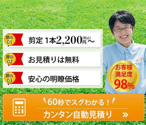 東京 神奈川 千葉 埼玉の植木屋 庭のお手入れは庭クイック