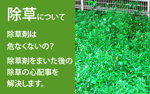除草 除草剤について 庭クイック 東京 神奈川 埼玉 千葉 造園の庭クイック