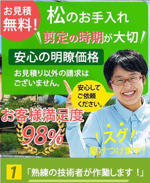 松の剪定 庭クイック 東京 神奈川 埼玉 千葉 造園の庭クイック