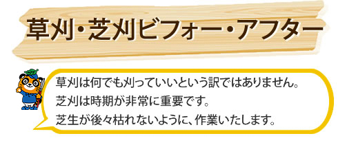 草刈 芝刈の庭クイック 東京 神奈川 埼玉 千葉 造園の庭クイック